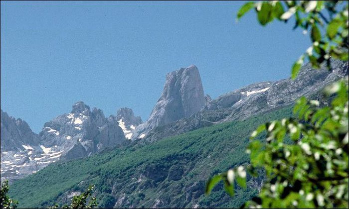 Camarmeña Aventra Amazonia.jpg